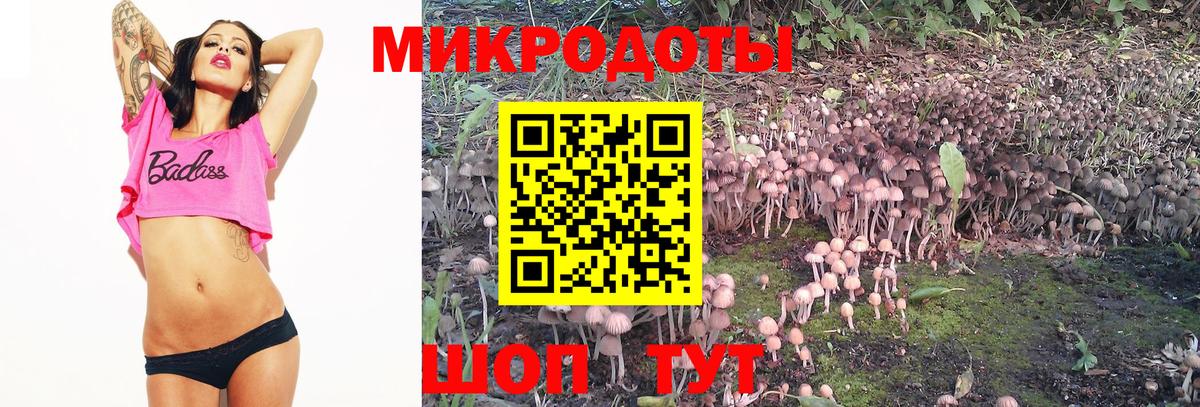 Галлюциногенные грибы MAGIC MUSHROOMS  Вход с VPN  Чебоксары  Галлюциногенные грибы GOLDEN TEACHER 